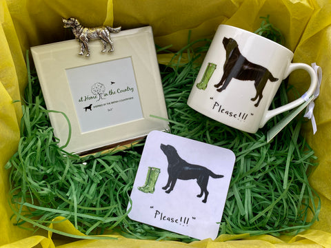 "Have a Pheasant Day" Mug