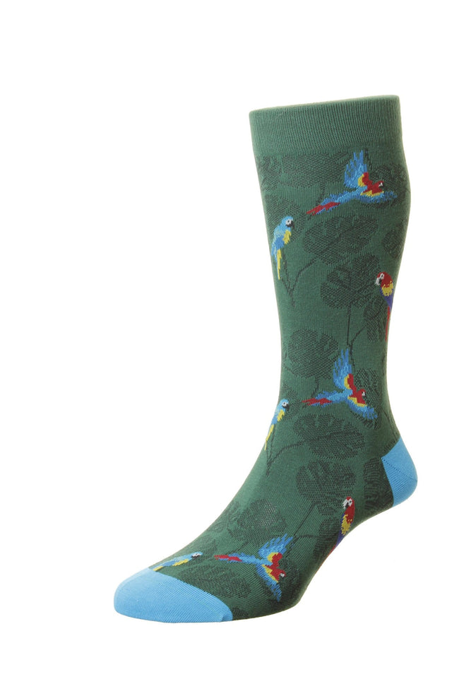 Scott Nichol by Pantherella - Macaw - New Conifer Socks 